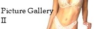 Picture Gallery 2